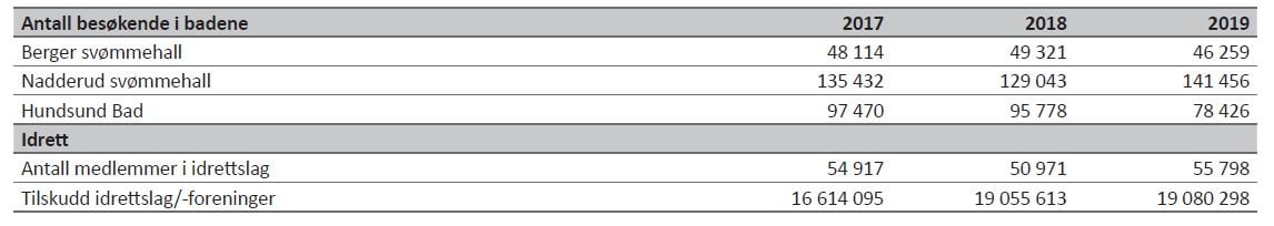 Tabell 19 - idrett