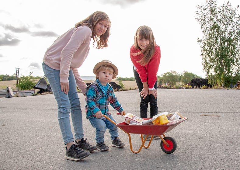 Den økonomiske utviklingen - 2019