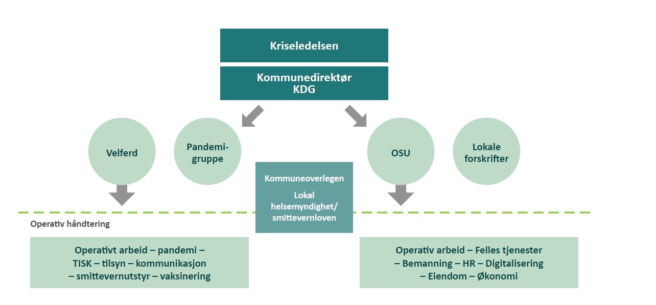 Organisering av pandemien