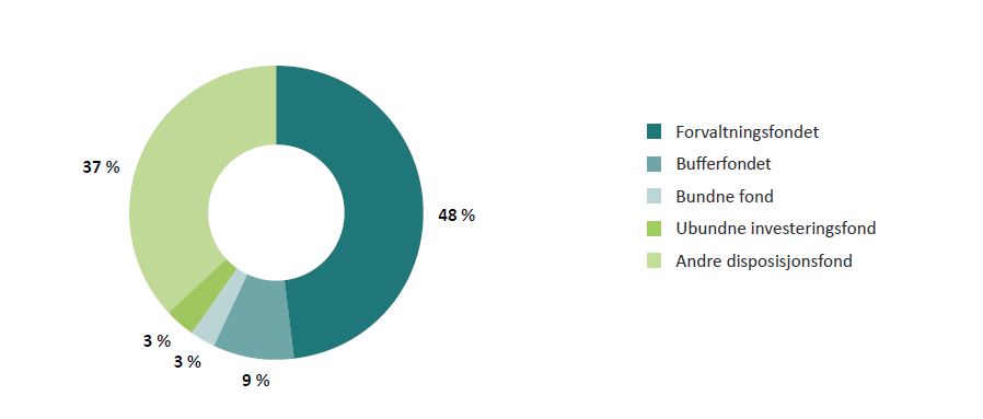 Figur 3.14: Fondsmidlenes sammensetning per 31.12.2019