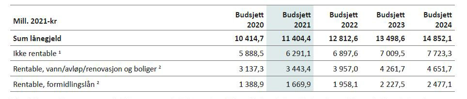 Tabell 3.11: Oversikt over lånegjeld