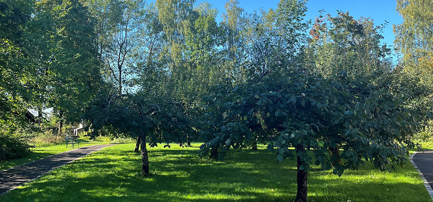 Hagen - Stabekk Helsehus og Hospice