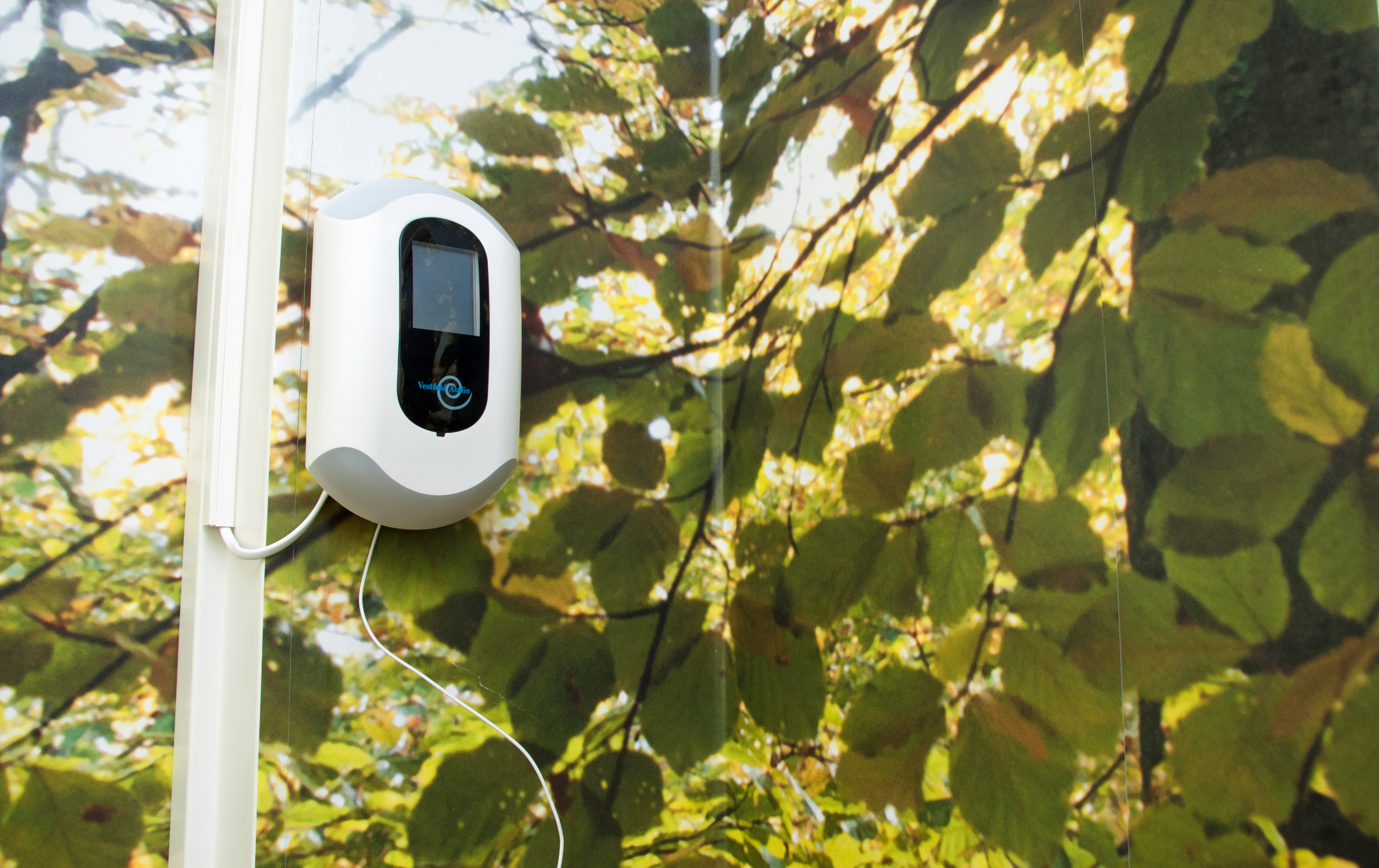 Tidsstyrt talevarsler (for demenssyke)