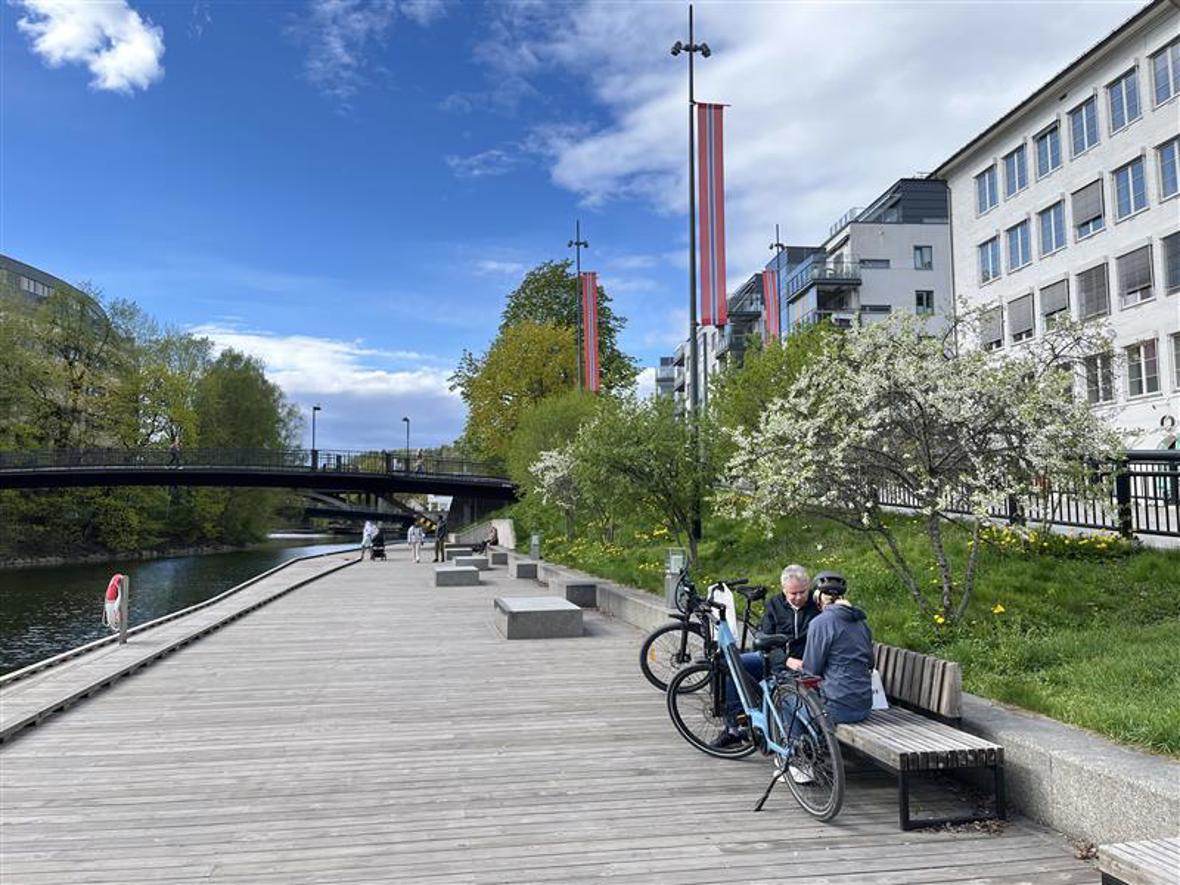 2026 Blomstring i Sandvika 06.jpg