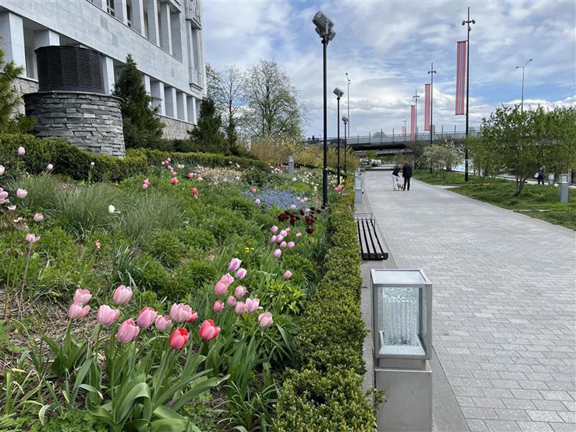 2026 Blomstring i Sandvika 07.jpg