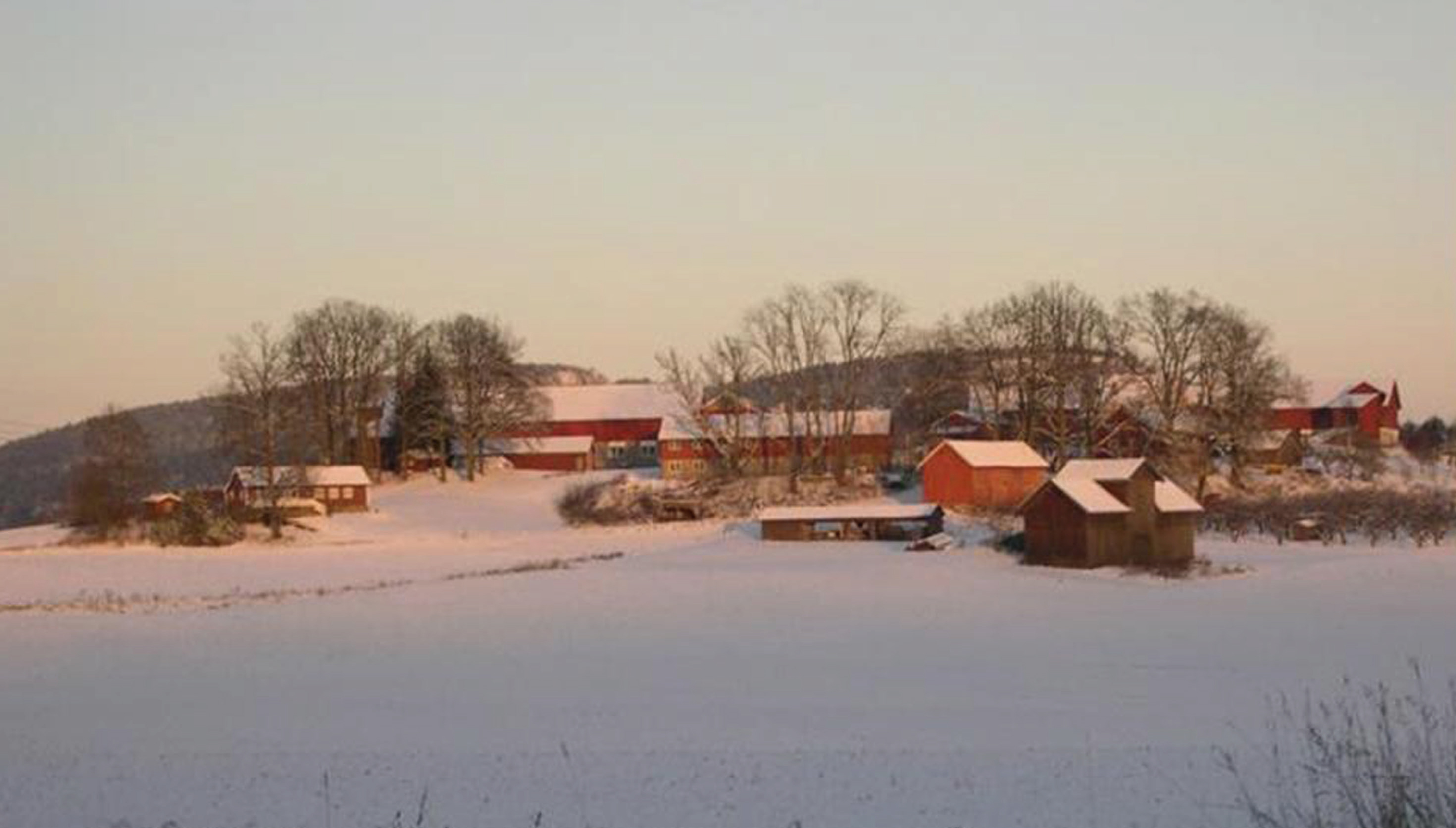 Ringi gården