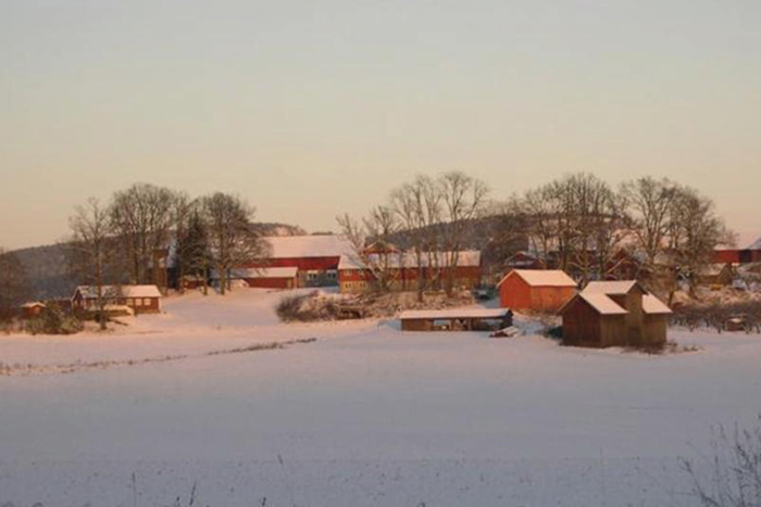 Ringi gården 