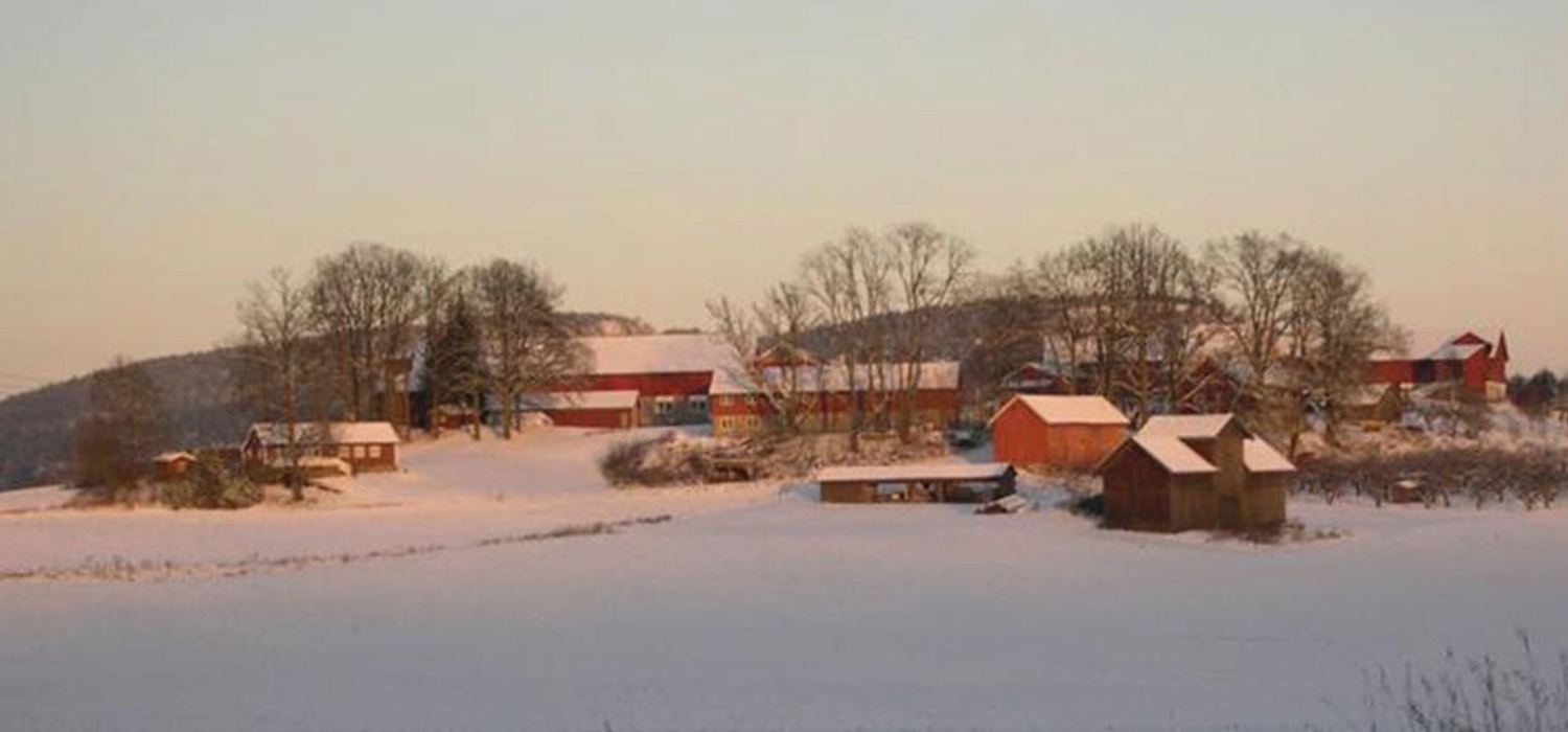 Ringi gården