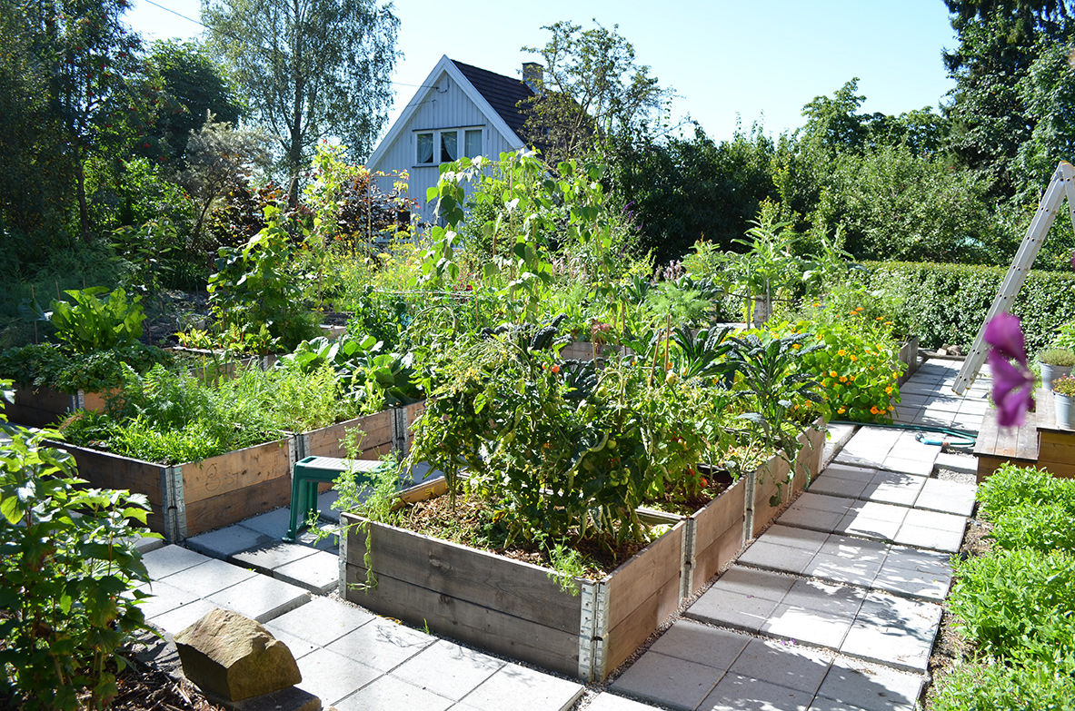 Fra en privat hage på Hosle