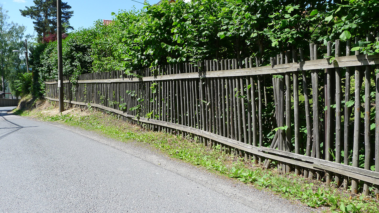 Stikkegjerde på Lagåsen