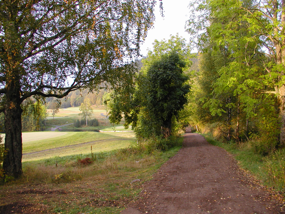 Ankerveien