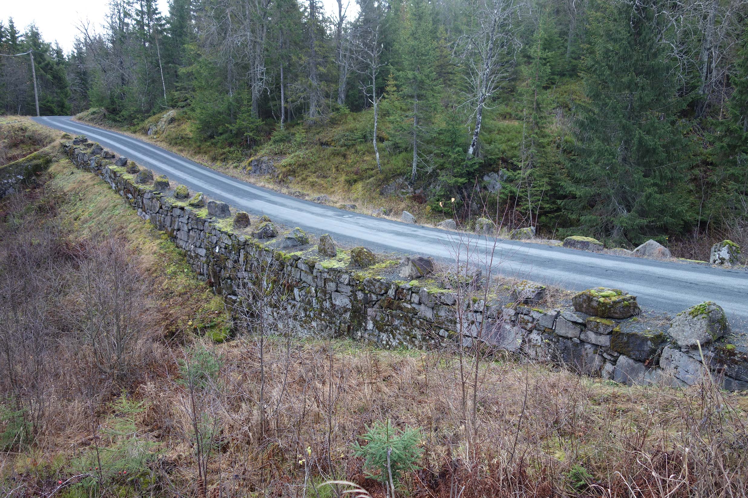 Kongeveien