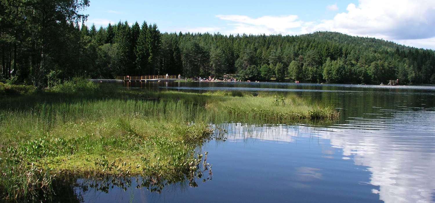 Bærumsmarka