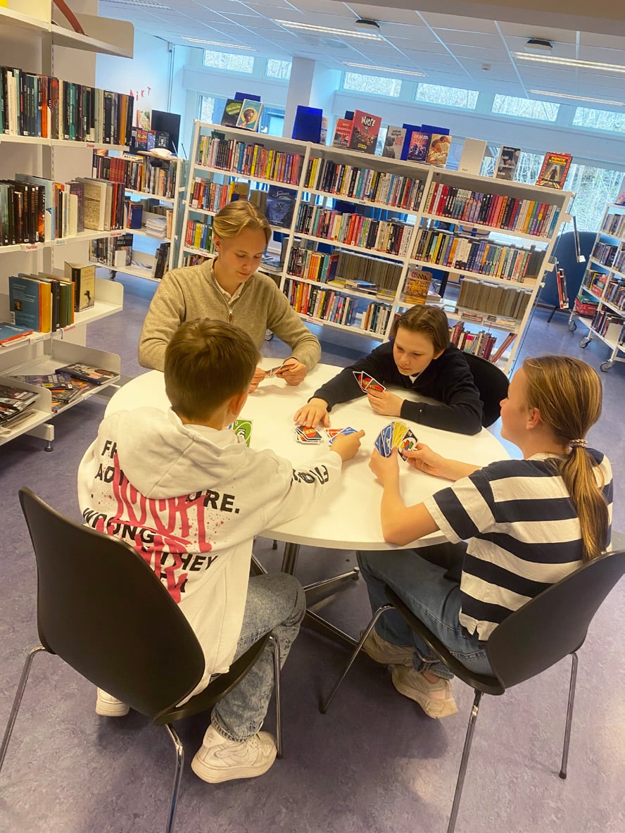 Sosial Og Inkluderende Arena B rum Kommune sosial-og-inkluderende-arena-b-rum-kommune