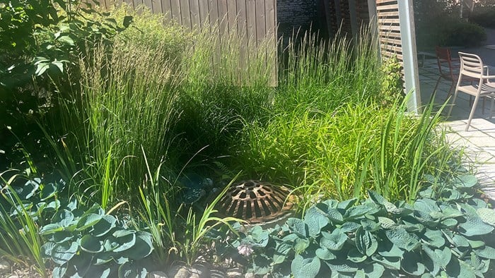 Planter 