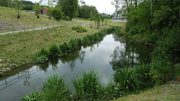 Bekk i landskap