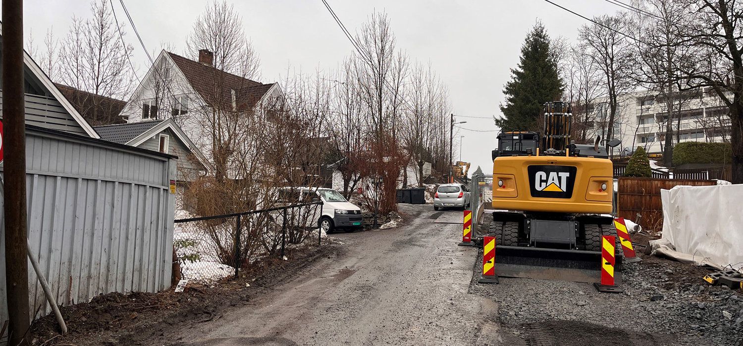 Bjørnekollen - bilde
